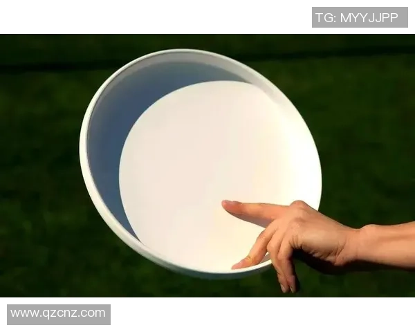 飞盘新手攻略:配合入门指南_1