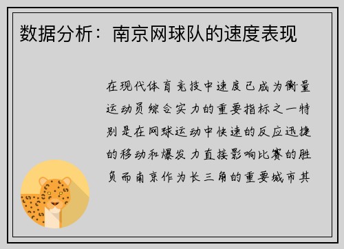 数据分析：南京网球队的速度表现